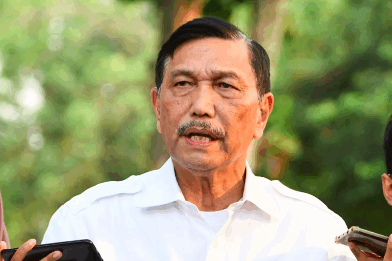 Luhut Binsar Pandjaitan Ditunjuk Sebagai Ketua Tim Percepatan Pengembangan Industri Gim Nasional